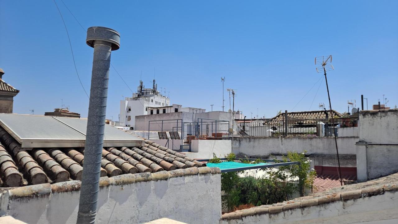 Apartamento Verde, Tranquilo, 2 D, Parking Opcional Sevilla Eksteriør bilde