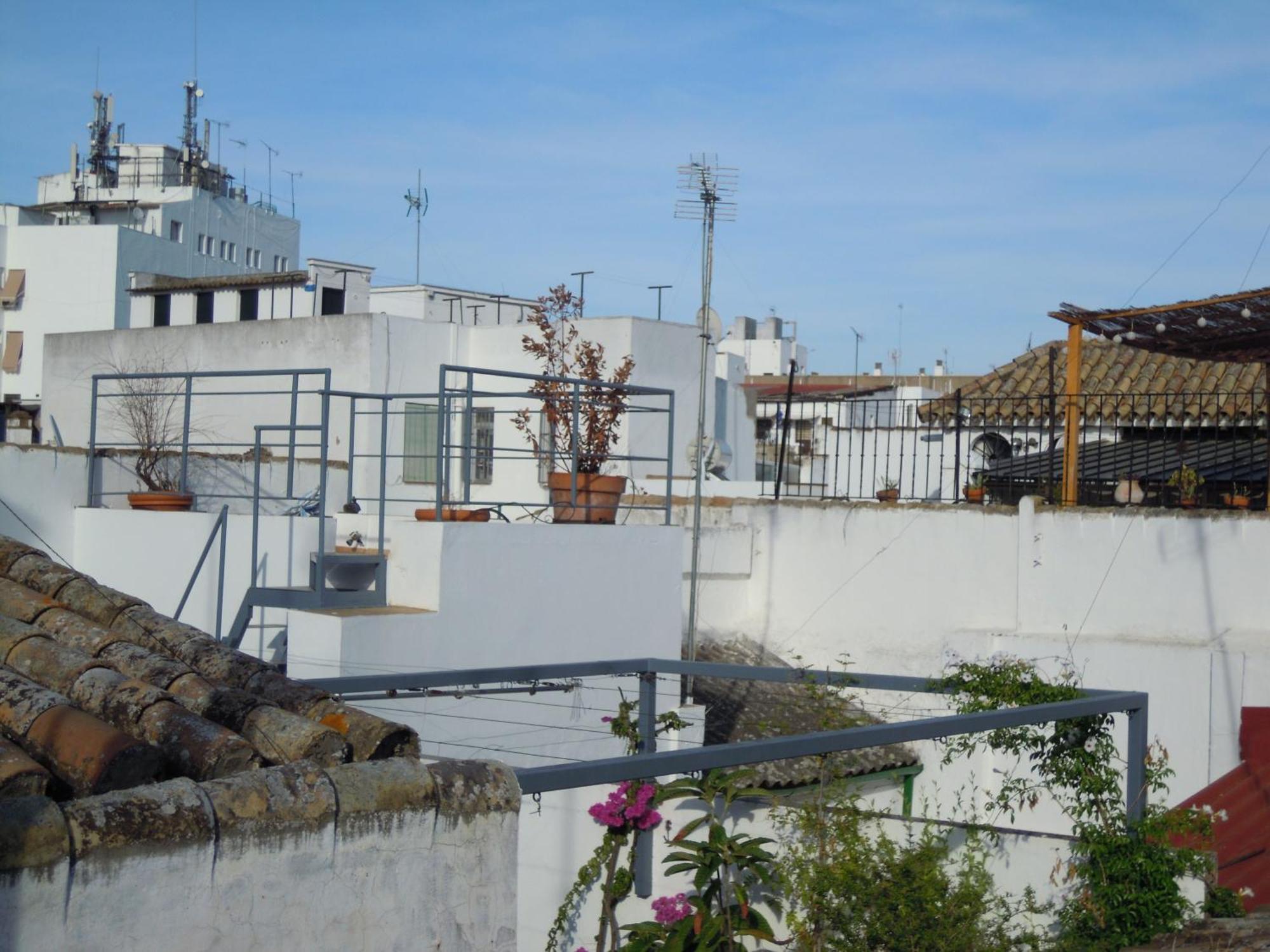 Apartamento Verde, Tranquilo, 2 D, Parking Opcional Sevilla Eksteriør bilde